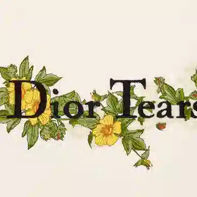 DIOR SS23 Tears T