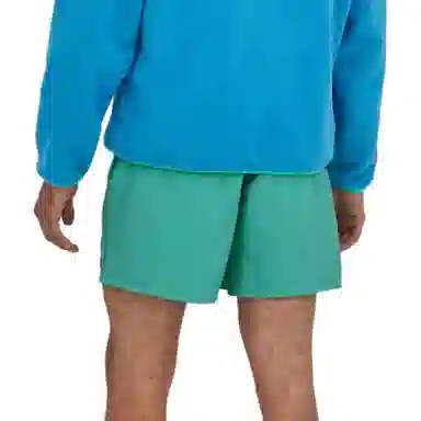 Patagonia Classic Logo Shorts
