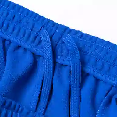 DESCENTE Logo Embroidered Shorts