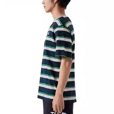 THE NORTH FACE logoT