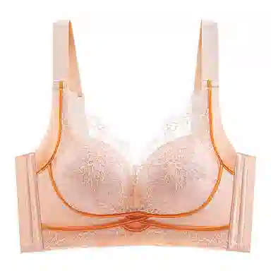 兰缪 时尚柔软蕾丝聚拢提拉上托侧收文胸 女款