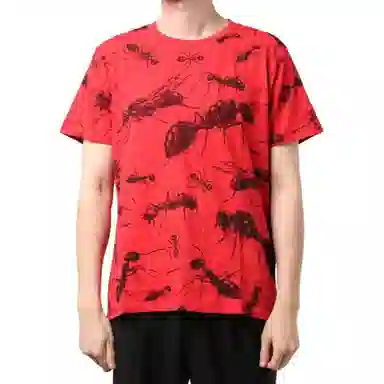 Levis T
