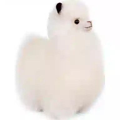 BBFAT ALPACA S