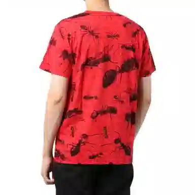 Levis T