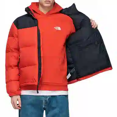 THE NORTH FACE 1996 Retro Nuptse 700
