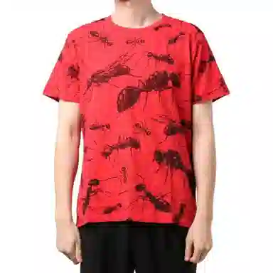 Levis T