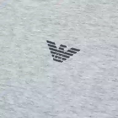 EMPORIO ARMANI FW23 Logo