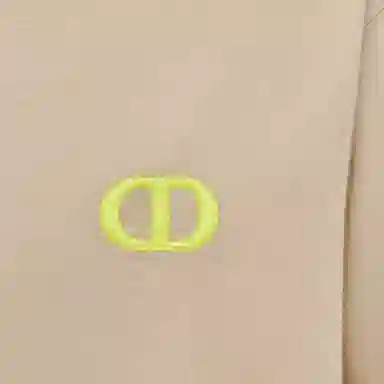 DIOR SS24 LogoT