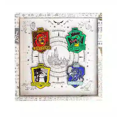 Harry Potter Quidditch House Pin