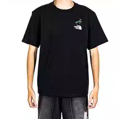 THE NORTH FACE LogoT