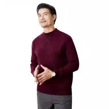 恒源祥 半高领厚款针织毛衣 男款