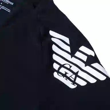 EMPORIO ARMANI LogoVT