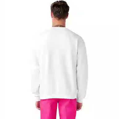 Dickies x BCA X DABEIYUZHOU