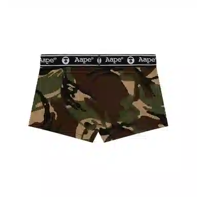Aape 1