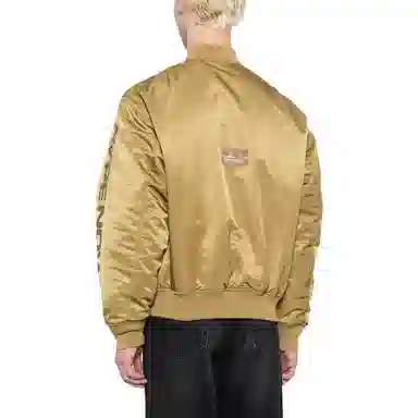 Aape logo