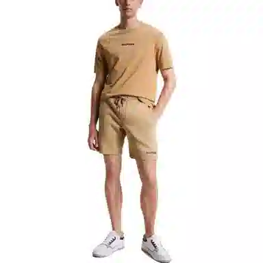 Tommy Hilfiger SS23 LogoT