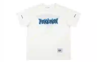 VEIDOORN x POKEMON