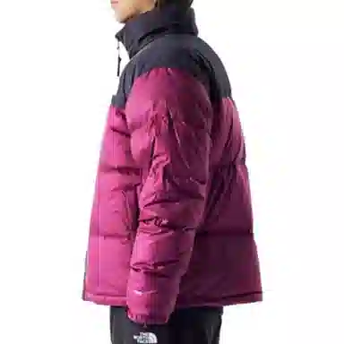 The North Face 1996 Series