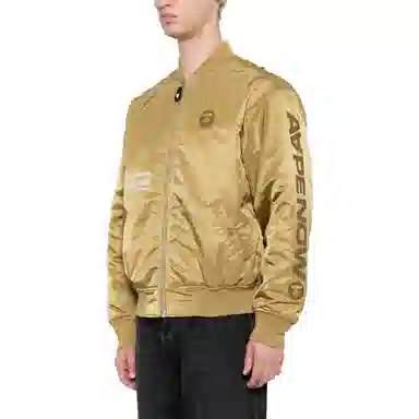 Aape logo