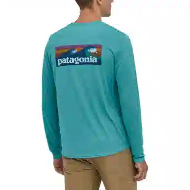 patagonia T