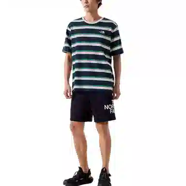 THE NORTH FACE logoT