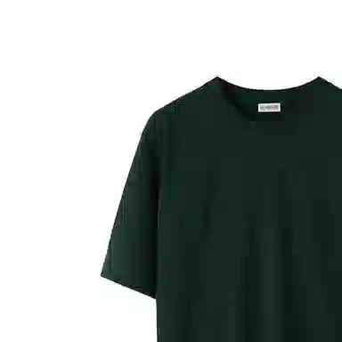 Burberry T