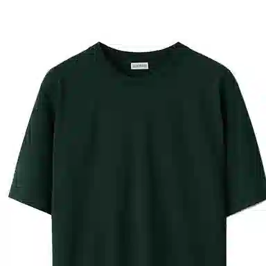 Burberry T