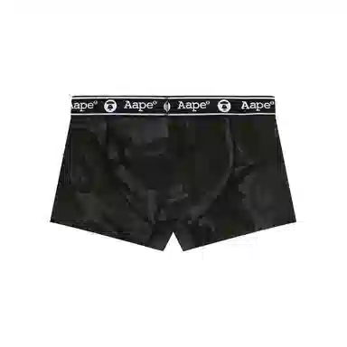 Aape 1