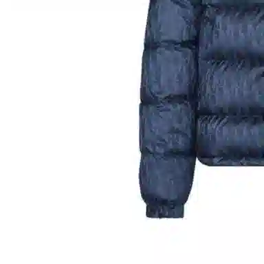 DIOR Logo