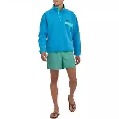 Patagonia Classic Logo Shorts
