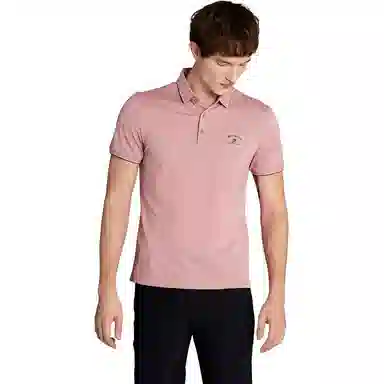 Satchi LogoPolo