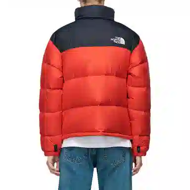 THE NORTH FACE 1996 Retro Nuptse 700