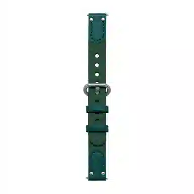 iwatchapplewatchS10S9S8S7S6SE