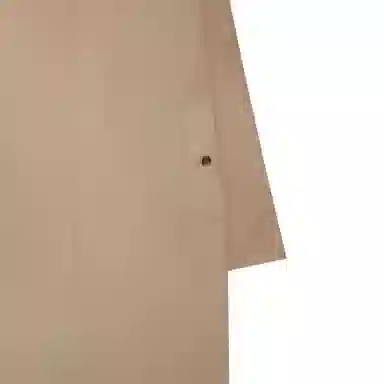 Burberry FW23 Brown Coat