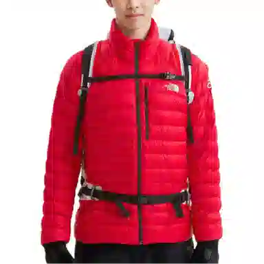 THE NORTH FACE SUMMIT Logo800