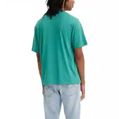 Levis T