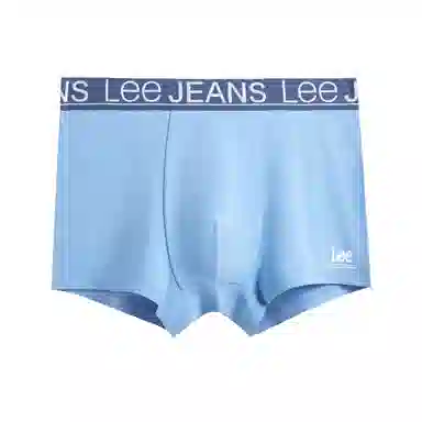 Lee 1