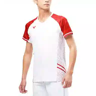VICTOR V T