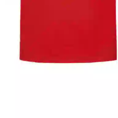 LOUIS VUITTON FW21 Polo