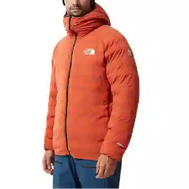 THE NORTH FACE SUMMIT L3 5050 Logo