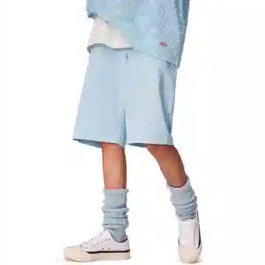 Dickies SS23 Logo Shorts