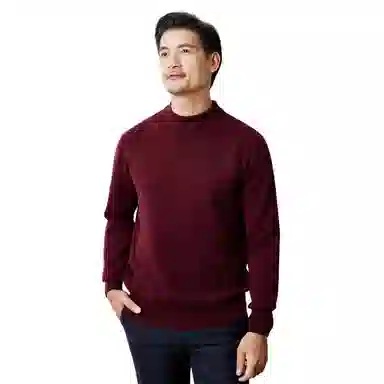 恒源祥 纯色保暖休闲针织毛衣 男款