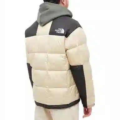 THE NORTH FACE 1990 Logo