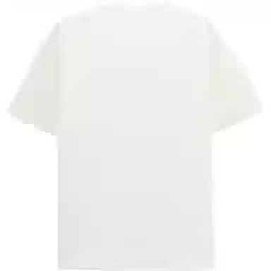 ZARA T