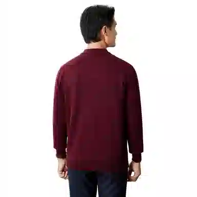 恒源祥 纯色保暖休闲针织毛衣 男款