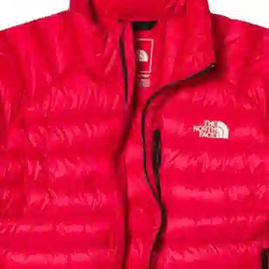THE NORTH FACE SUMMIT Logo800