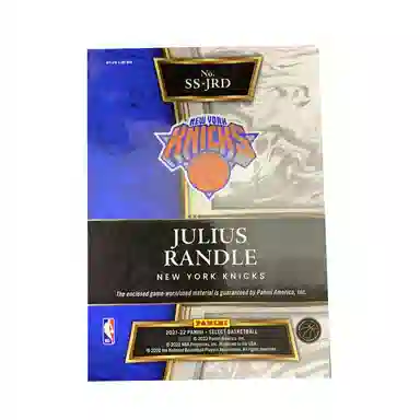 PANINI 2021-22 Select