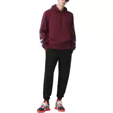 Lacoste Hoodie