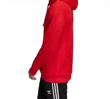 adidas originals Trefoil Hoodie