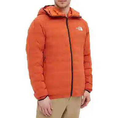 THE NORTH FACE SUMMIT L3 5050 Logo